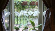 Relais Verona